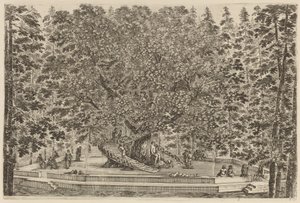 De bewoonde boom, waarschijnlijk 1653 door Stefano della Bella