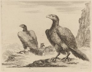 Twee adelaars, beide met hoofden naar links gedraaid, op een hoge klif