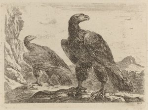 Twee Adelaars, Beiden met Hoofd naar Rechts Gekeerd door Stefano della Bella