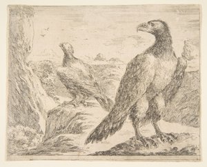 Twee adelaars, uit Adelaars Les aigles, ca. 1651 door Stefano della Bella