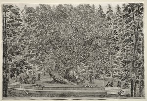 Gezichten van de Villa van Pratolino: De Bewoonde Boom