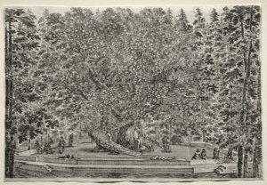 Zichten van de Villa van Pratolino: De bewoonde boom