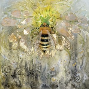  door Stephanie Law