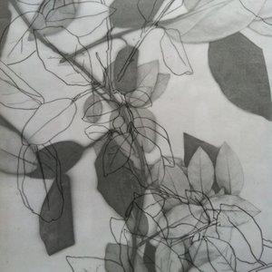 Botanisch, 2014 (digitaal) door Stephen Dow