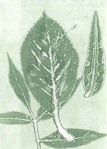 Gone IX, 2015 (monoprint op papier) door Stephen Dow