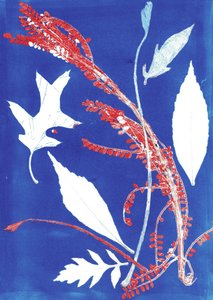 Jol I, 2017 (monoprint op papier) door Stephen Dow