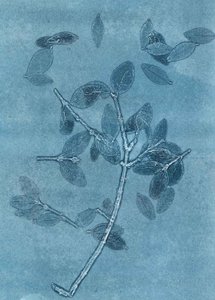 Midnight Garden I, 2015 (monoprint op papier) door Stephen Dow