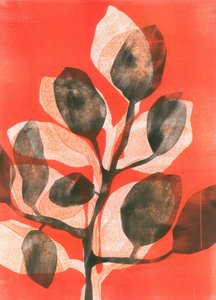 Zomertuin III, 2015 (monoprint op papier)