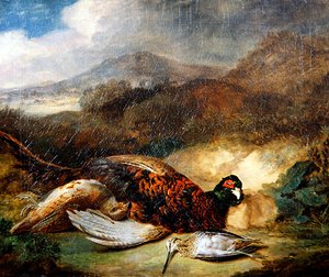 Fazant en Houtsnip in een Landelijk Landschap door Stephen Elmer