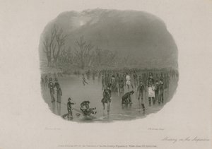 Schaatsen op de Serpentine, Hyde Park, Londen door Stephen Pearce