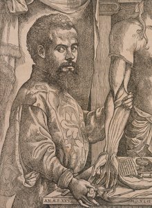 Andreas Vesalius die de spieren van de onderarm van een kadaver ontleedt door Steven van Calcar