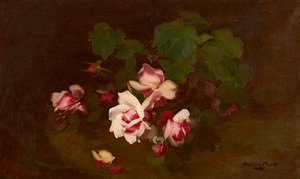 Bloeiende rozen