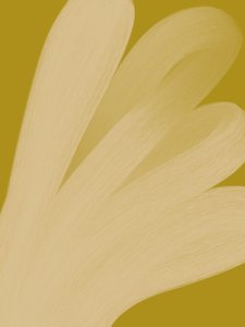 door Studio Palette
