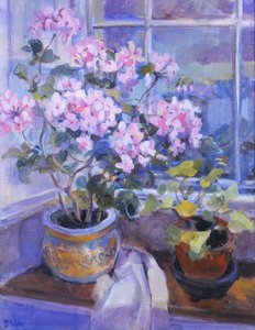 Roze geranium op vensterbank