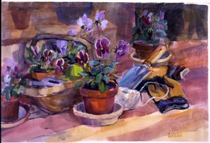 Pansies oppotten