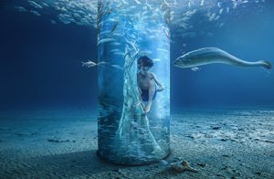  door Sulaiman Almawash