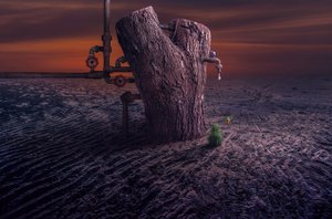  door Sulaiman Almawash