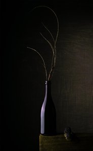 Stilleven met donkere fles door Sumit Dhuper
