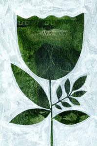  door Susan Black