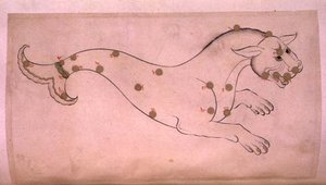 Constellaties: Cetus, de walvis