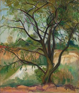 De Boom