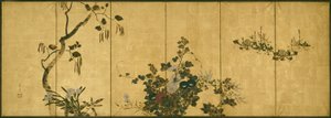 Bloemen van de Herfst en Winter