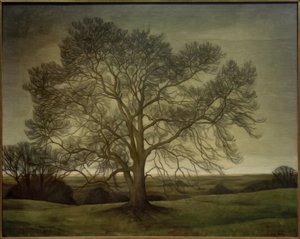 Landschap 1901 door Svend Hammershöi