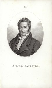 Augustin Pyramus de Candolle door Swiss School