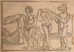 Gravure van een pagina uit "Cosmographey: dat is beschrijving van alle landen"