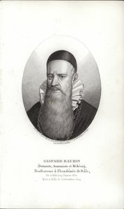 Gaspard Bauhin door Swiss School