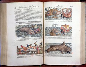 Het snijden van een walvis en walvisvangst, uit Appendix historiae quadrupedum, viviparorum et ovipororum door Conrad Gesner (1516-65), 1554 (kleurgravure)