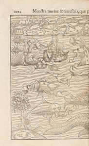 Pagina 1004 uit Cosmographiae Universalis door Sebastian Muenster, Basel, 1572 door Swiss School