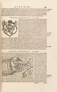 Pagina 983 uit Cosmographiae Universalis door Sebastian Muenster, Basel, 1572 door Swiss School