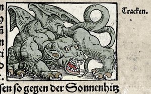 Voorstelling van een draak: gravure uit Johann Stumpff