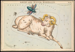 Aries en Musca borealis, c.1825