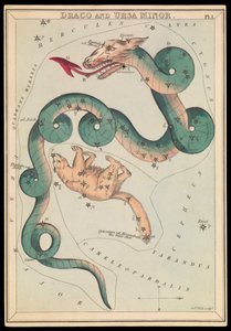 Draco en Ursa Minor door Sydney Hall