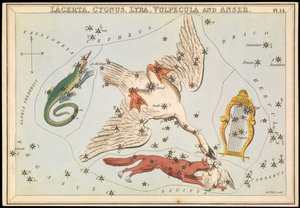 Lacerta, Cygnus, Lyra, Vulpecula en Anser, ca. 1825 door Sydney Hall