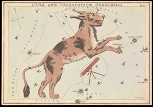 Lynx en Telescopium Hereschilii, c.1825 door Sydney Hall