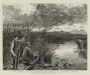 De Prins van Wales schiet wilde zwanen in Ekolsund, Zweden door Sydney Prior Hall