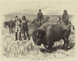 Naar het Grote Noordwesten met de Markies van Lorne, X, een buffeljacht in de Red River Valley, de genadeslag door Sydney Prior Hall