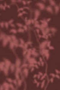  door THE MIUUS STUDIO