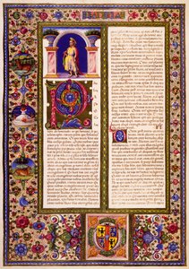 Paulus