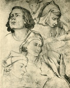 Studie van hoofden