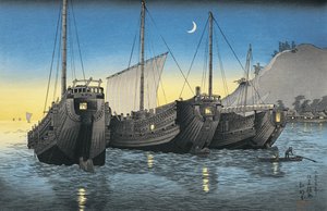 Jonk schepen in de zee