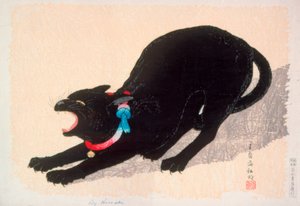Sissende zwarte kat door Takahashi Hiroaki