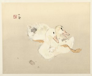 Jonge eenden door Takeuchi Seiho