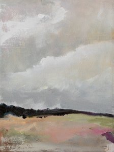 Rustig bewolkt landschap