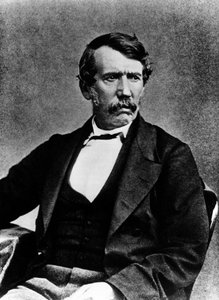 Portret van Livingstone - foto door Annan en zonen, Glasgow
