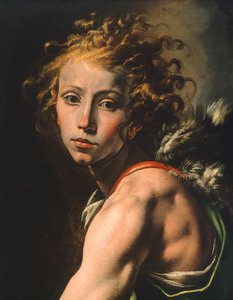 Figuur van David (detail) door Tanzio da Varallo