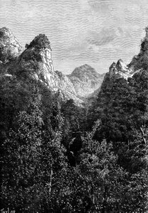 Madeira, Portugal, 1895